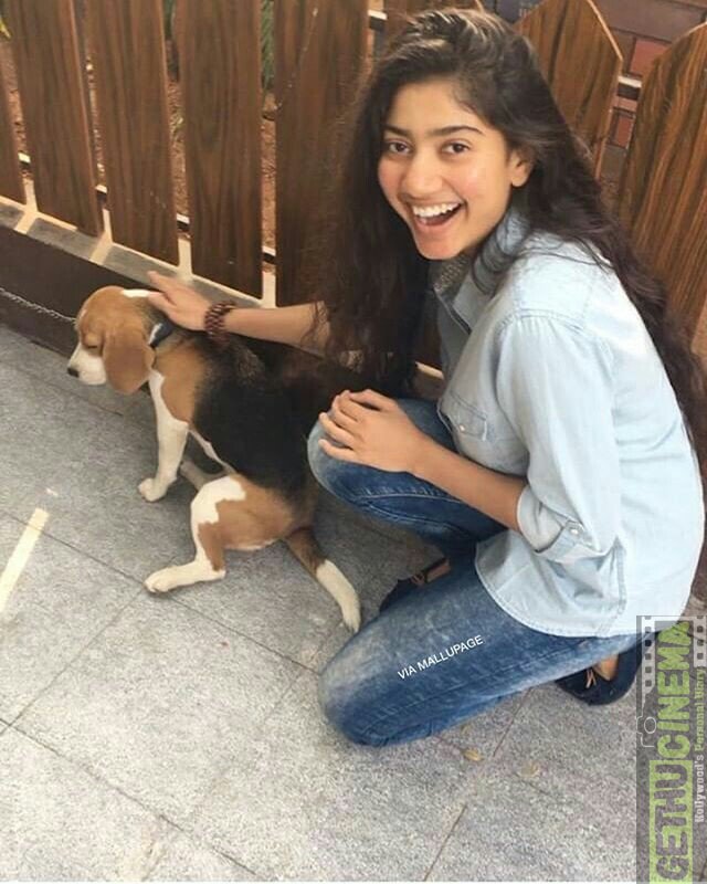 Sai Pallavi Hot Photos