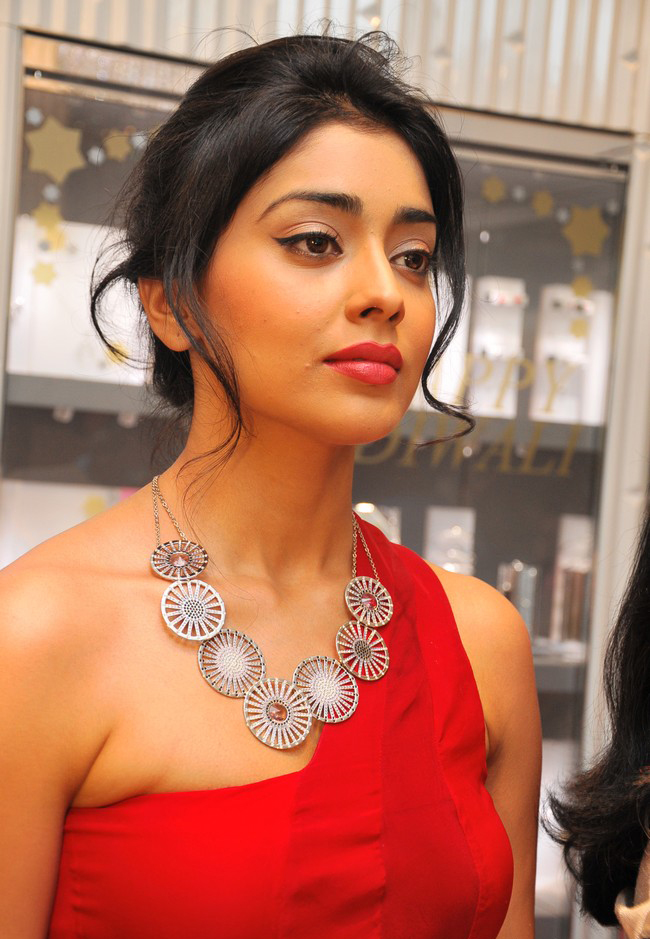 Unlock 27+ Shriya Saran Hot Pictures INCLUDE Bikini Pics 33